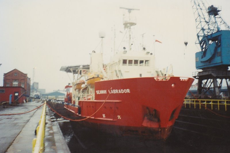 SeawayLabrador_15.jpg